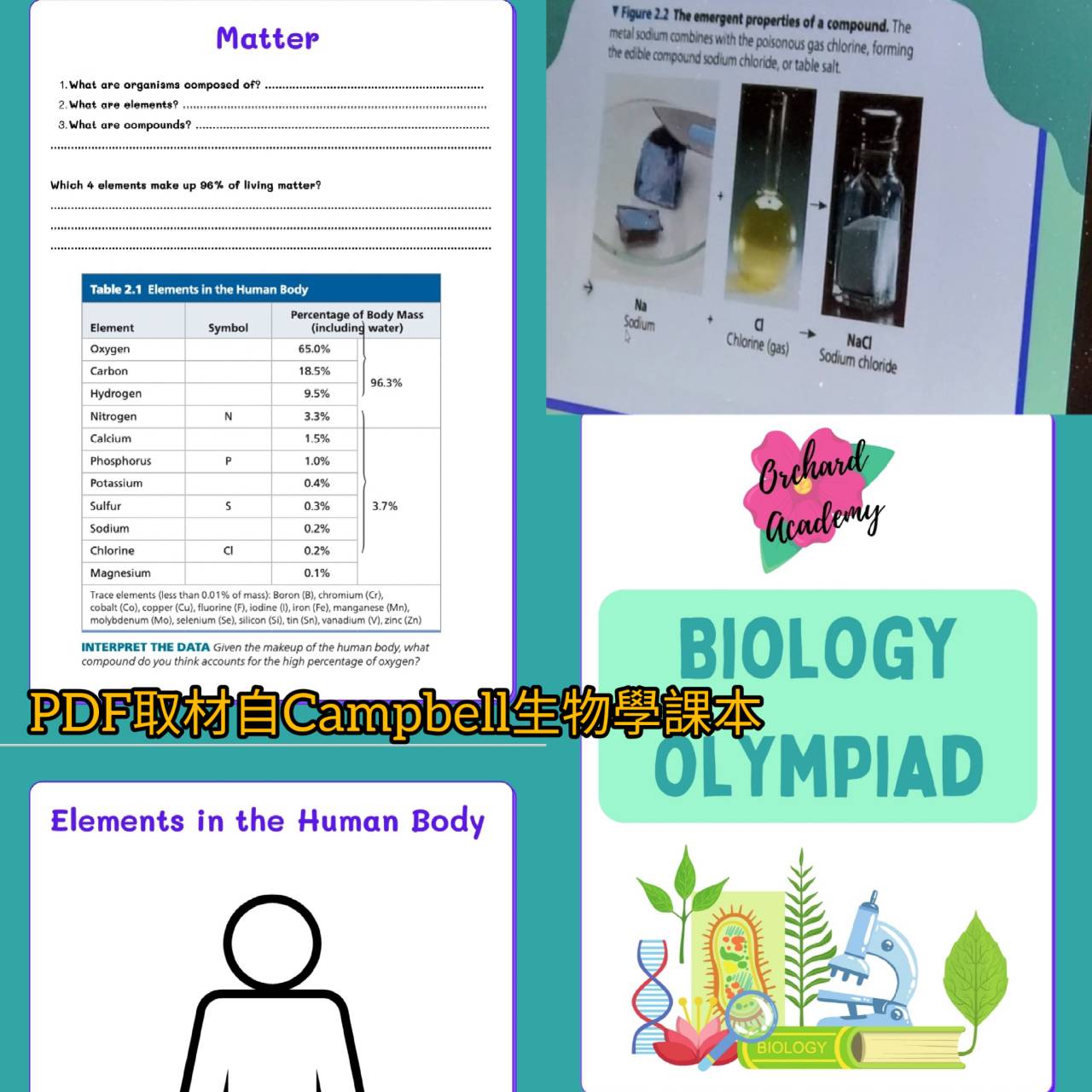 Let's Get Ready: Biology Olympiad Early Starters Course